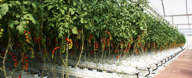 Novagric - Soluciones y servicios especializados en riego, invernaderos y tecnología agrícola