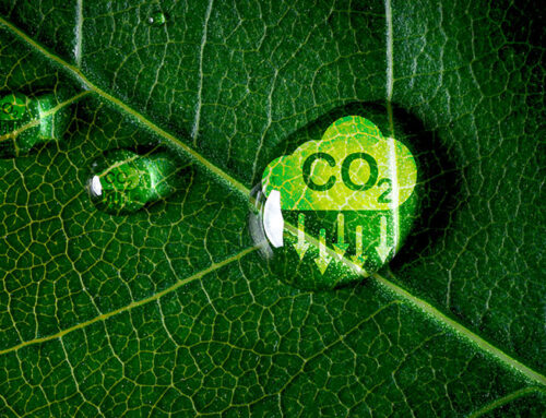 Niveles de Fertilización Carbónica en Invernaderos