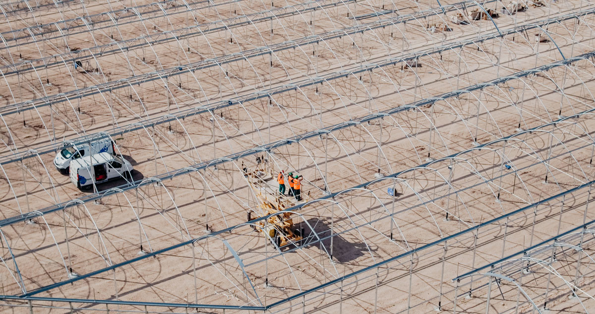 Novagric - Soluciones y servicios especializados en riego, invernaderos y tecnología agrícola