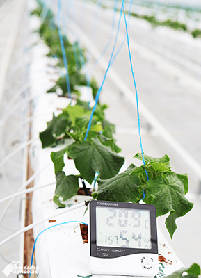 controlclimatico Novagric - Soluciones y servicios especializados en riego, invernaderos y tecnología agrícola