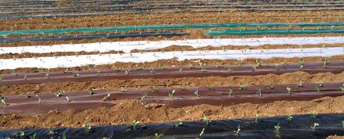 Novagric - Soluciones y servicios especializados en riego, invernaderos y tecnología agrícola