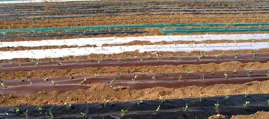 Novagric - Soluciones y servicios especializados en riego, invernaderos y tecnología agrícola