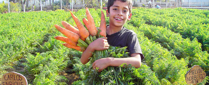 Novagric - Soluciones y servicios especializados en riego, invernaderos y tecnología agrícola