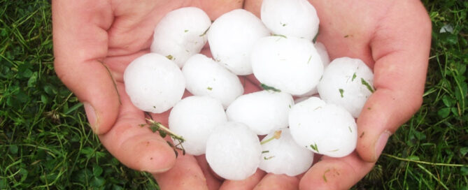 Novagric - Soluciones y servicios especializados en riego, invernaderos y tecnología agrícola