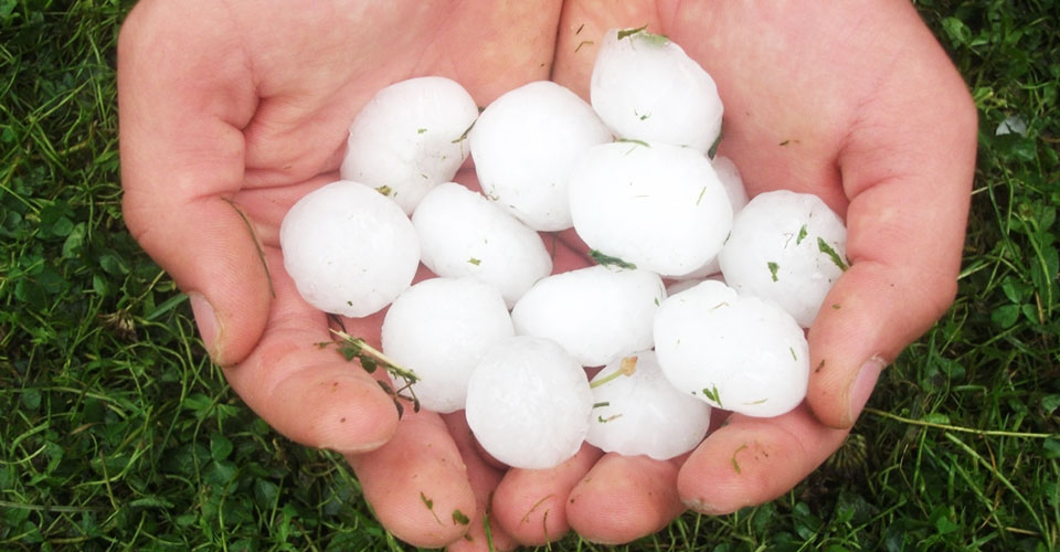 Novagric - Soluciones y servicios especializados en riego, invernaderos y tecnología agrícola