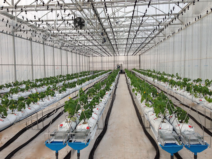 humidex-2 Novagric - Soluciones y servicios especializados en riego, invernaderos y tecnología agrícola