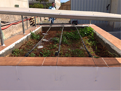 Novagric - Soluciones y servicios especializados en riego, invernaderos y tecnología agrícola