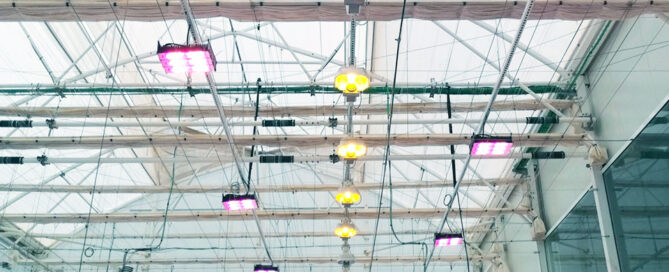 Novagric - iluminación en invernaderos