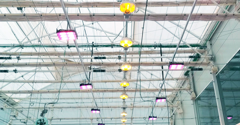 iluminacion-invernadero Carros de riego