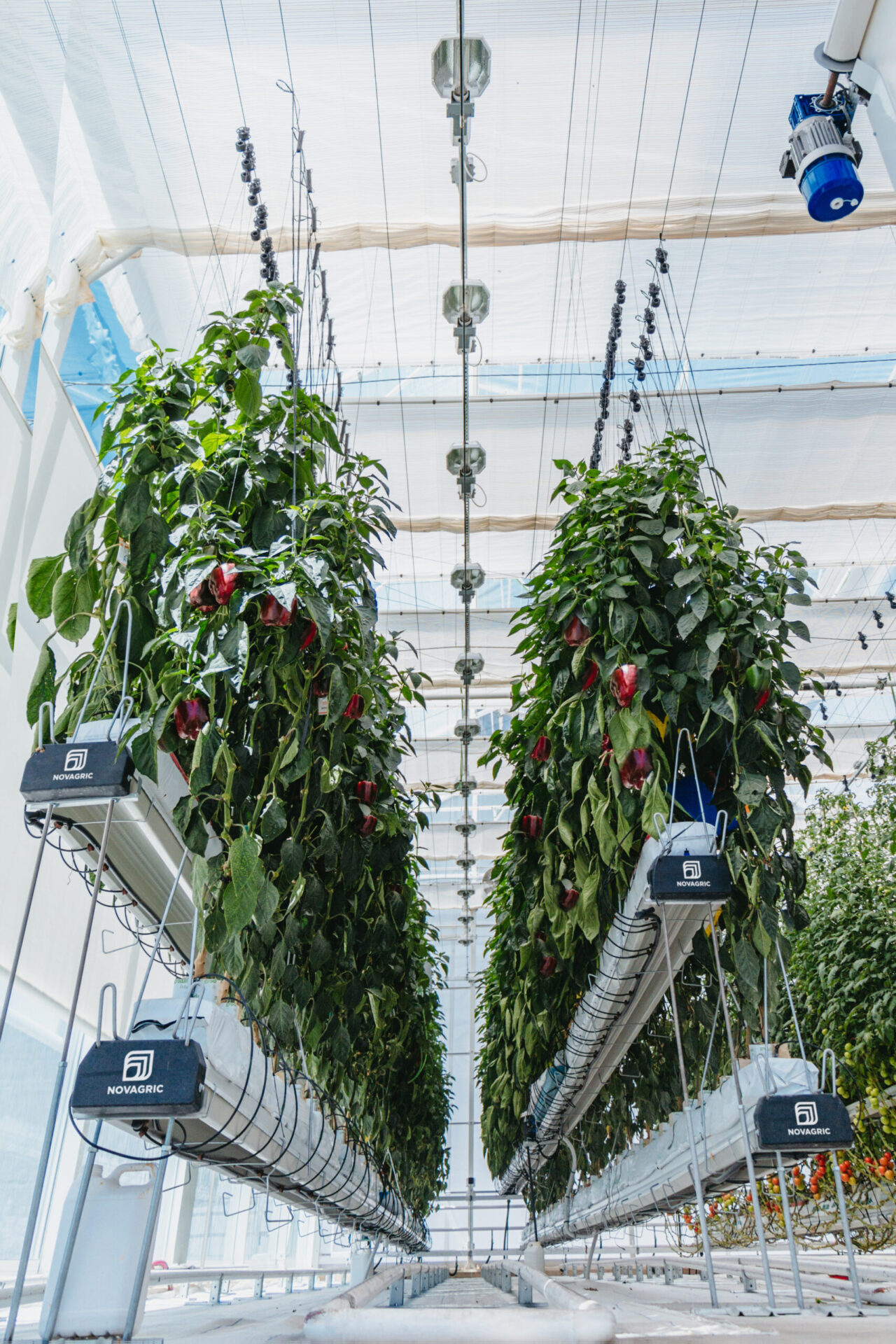 Recirculación y drenajes