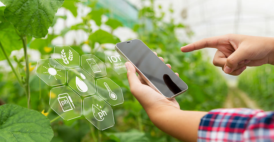 Novagric - Soluciones y servicios especializados en riego, invernaderos y tecnología agrícola