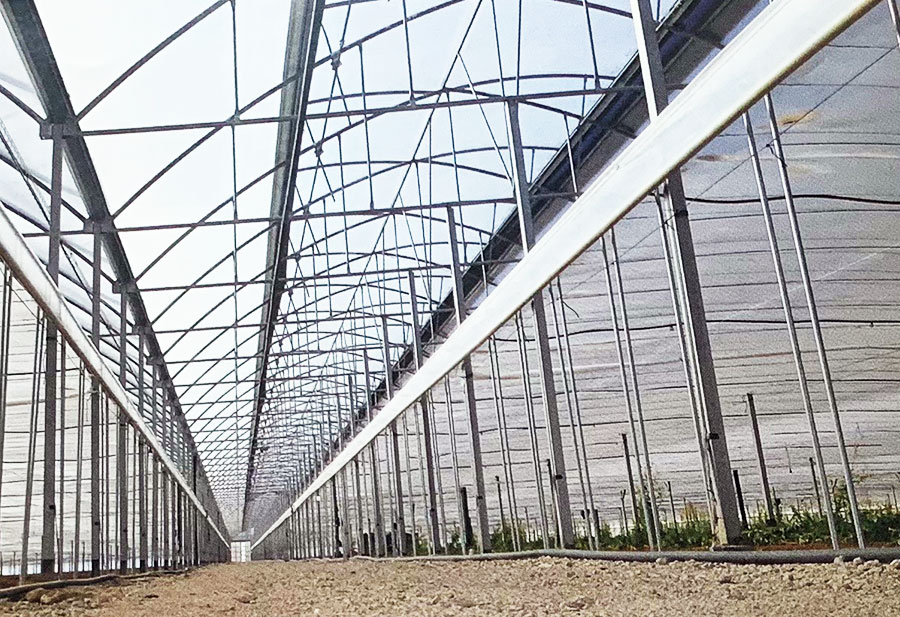 invernadero-multitunel-ecologico-2 Novagric - Soluciones y servicios especializados en riego, invernaderos y tecnología agrícola