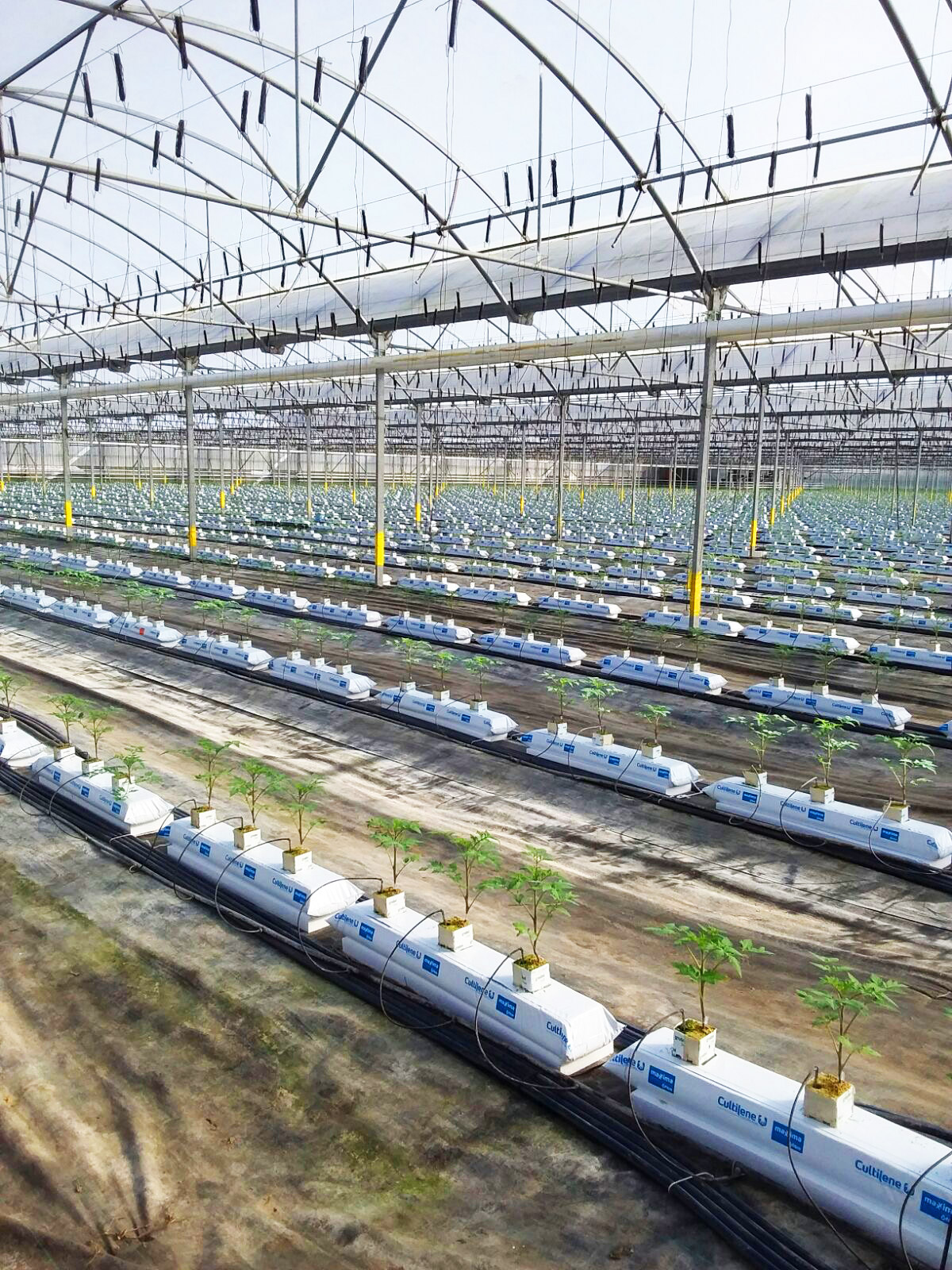 Novagric - Soluciones y servicios especializados en riego, invernaderos y tecnología agrícola