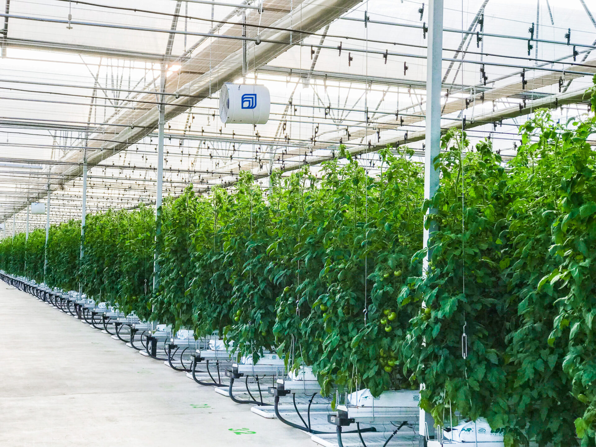 Novagric - Soluciones y servicios especializados en riego, invernaderos y tecnología agrícola