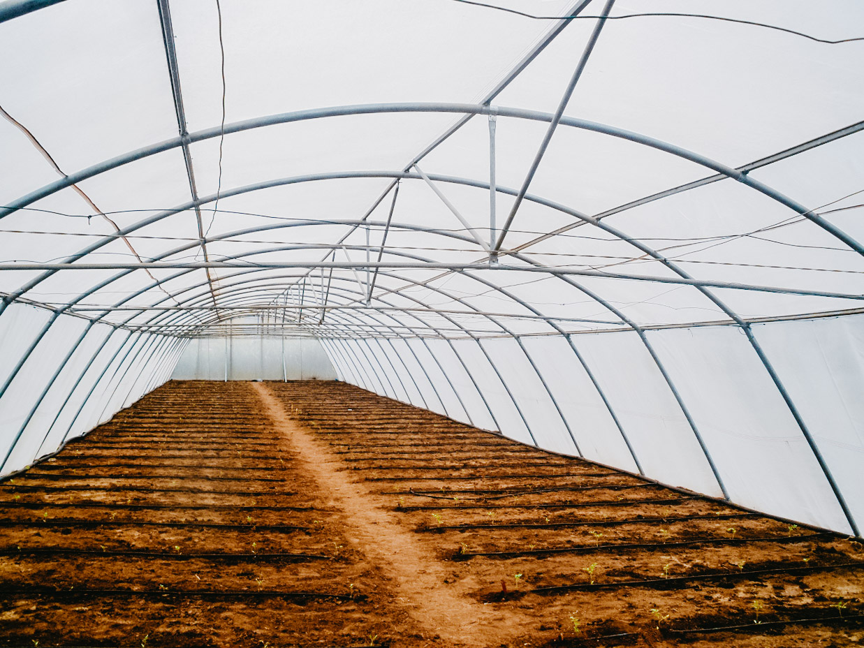 Novagric - Soluciones y servicios especializados en riego, invernaderos y tecnología agrícola