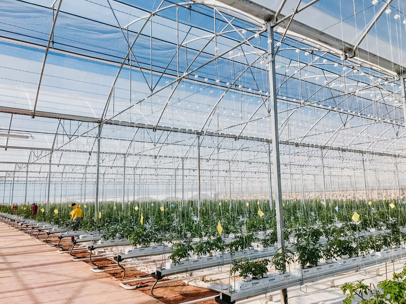 Novagric - Soluciones y servicios especializados en riego, invernaderos y tecnología agrícola