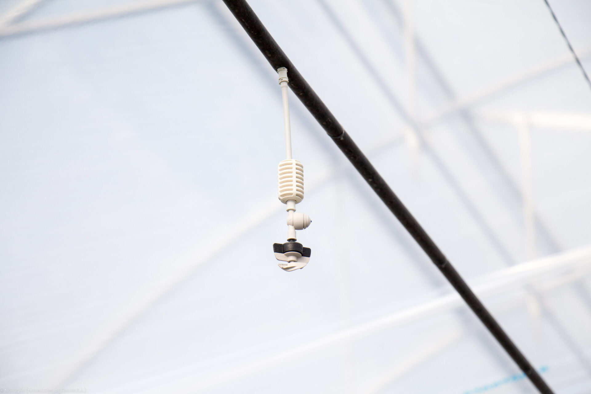 Microsprinkler Irrigation