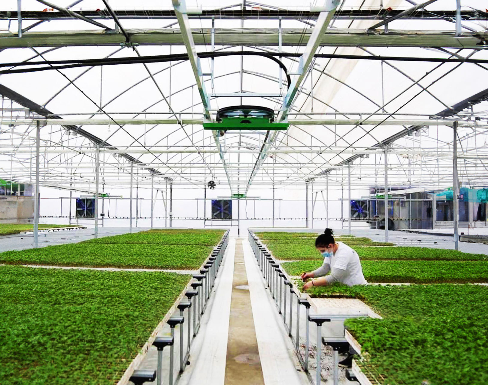 Novagric - Soluciones y servicios especializados en riego, invernaderos y tecnología agrícola