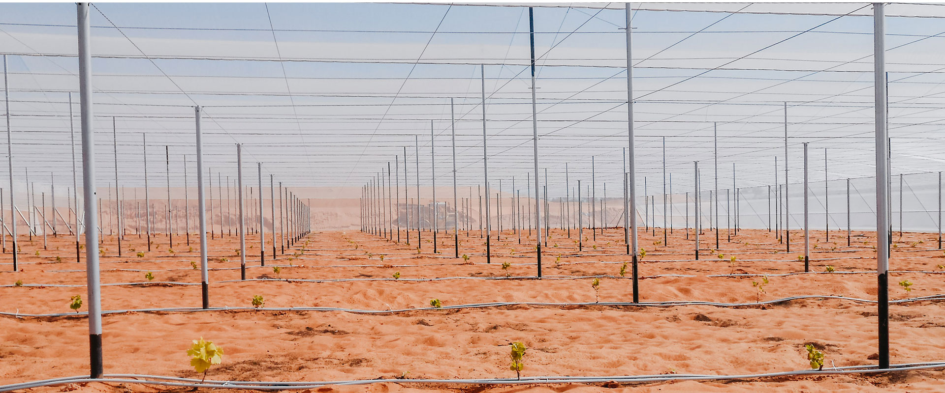 Invernadero malla sombra Invernadero malla sombra