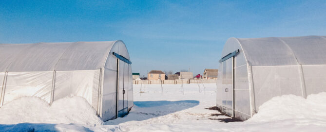 Invernadero tipo túnel