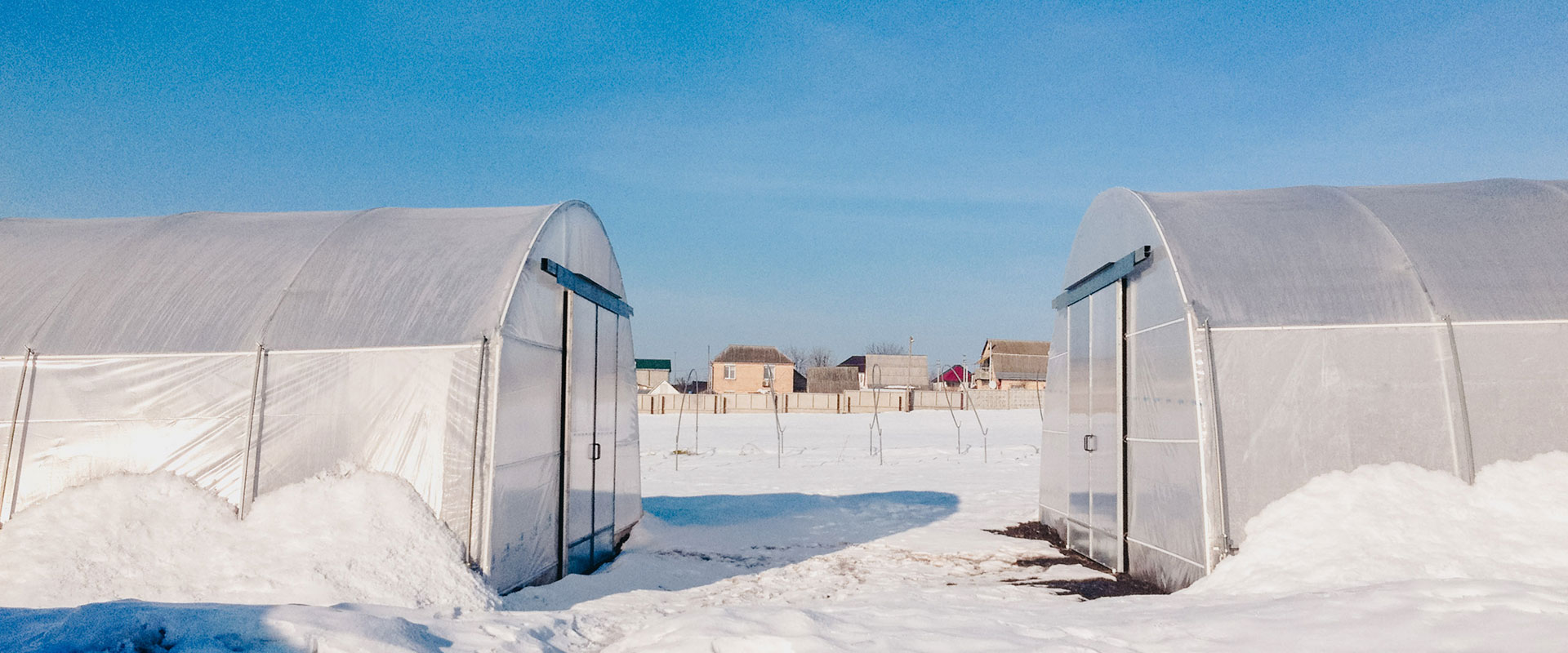 Invernadero tipo túnel Invernadero tipo túnel