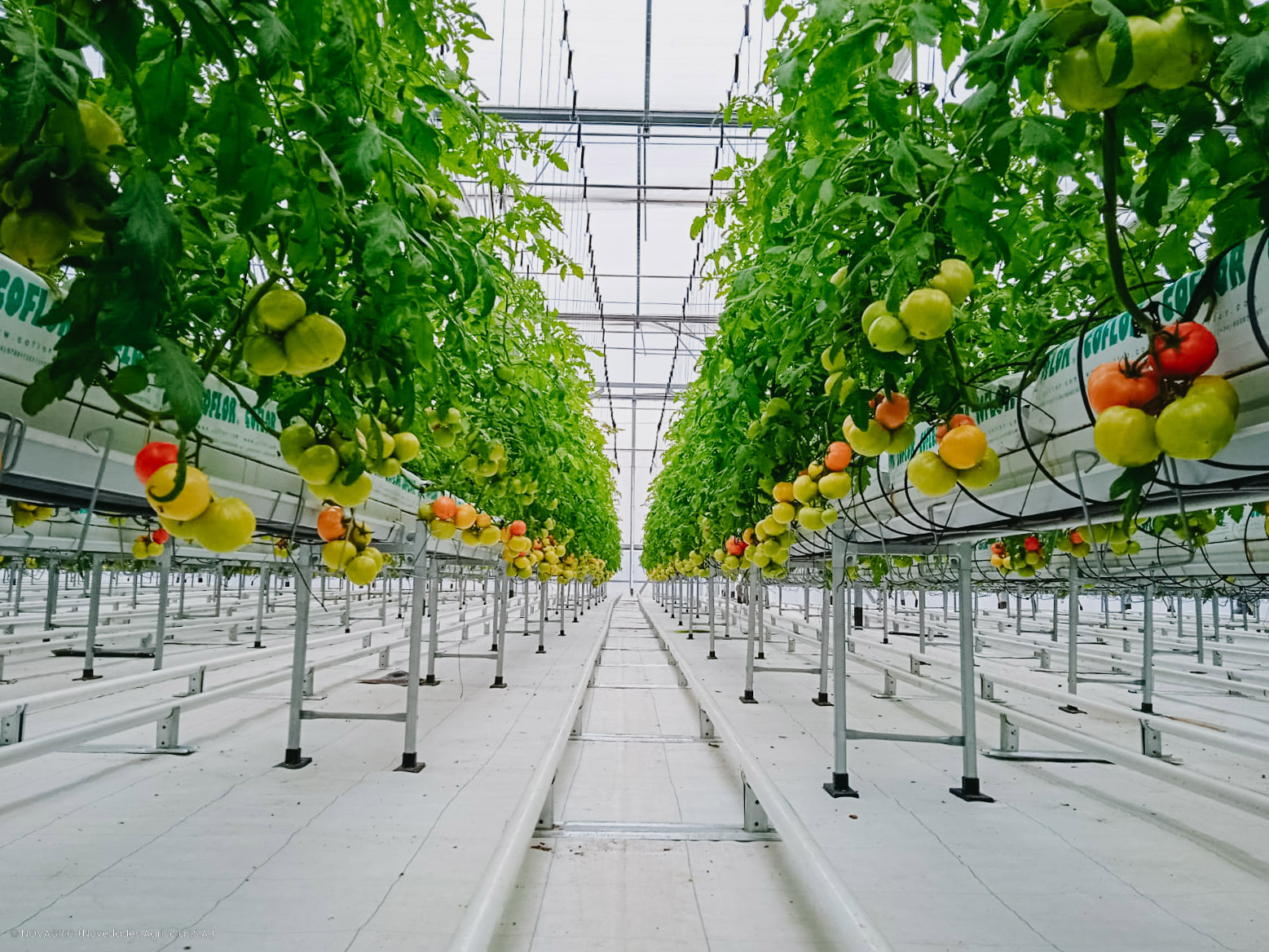 Novagric - Soluciones y servicios especializados en riego, invernaderos y tecnología agrícola