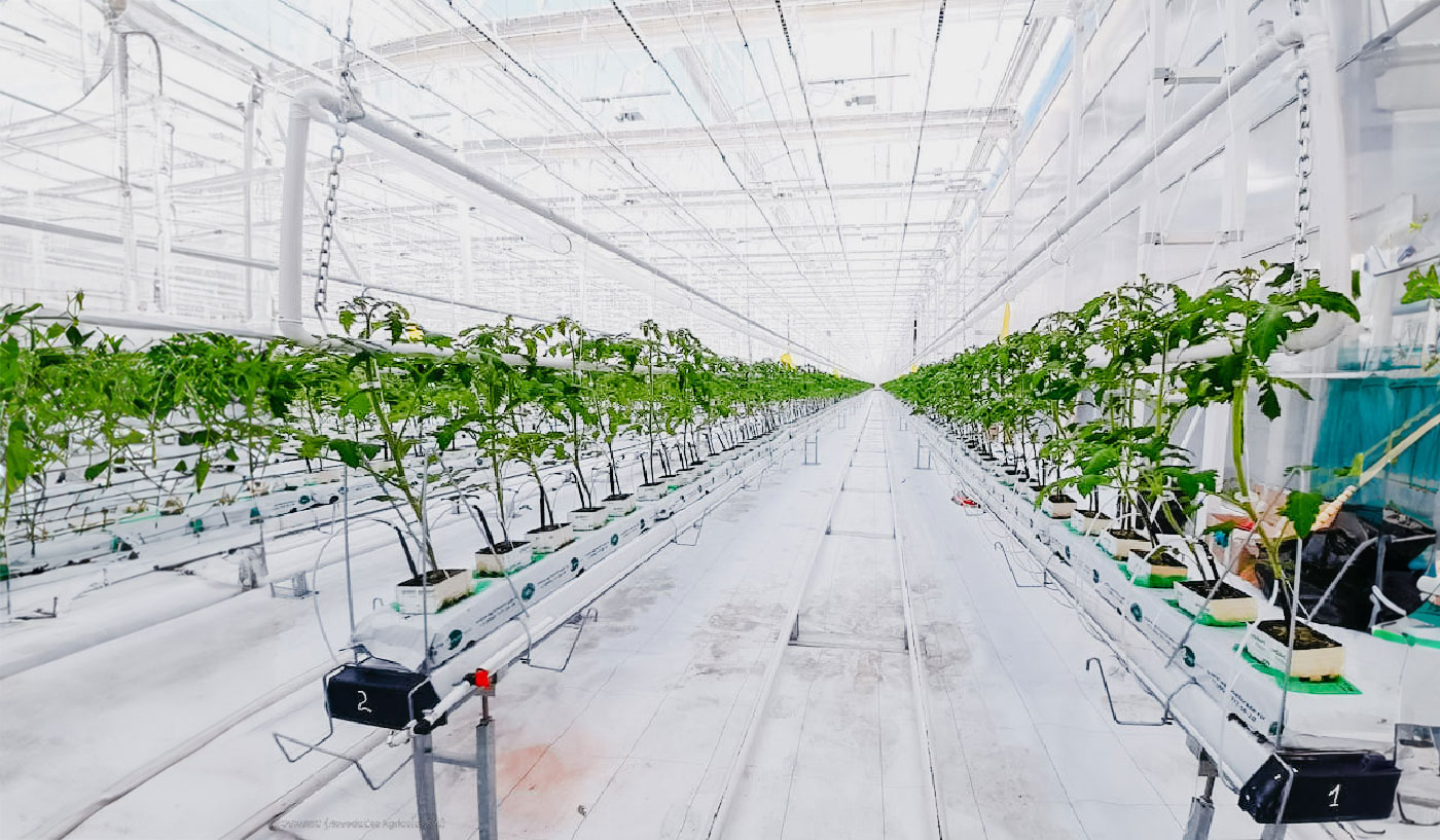 Novagric - Soluciones y servicios especializados en riego, invernaderos y tecnología agrícola