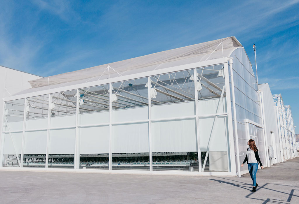 Novagric - Soluciones y servicios especializados en riego, invernaderos y tecnología agrícola