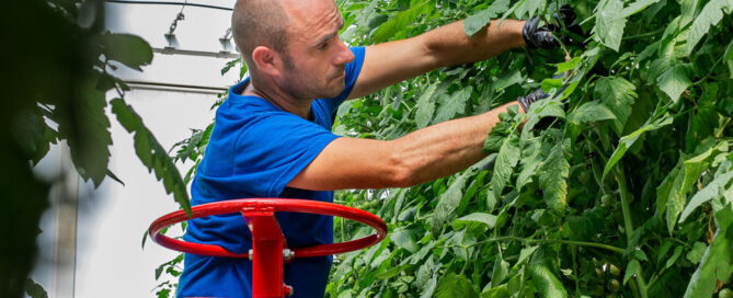 Novagric - Soluciones y servicios especializados en riego, invernaderos y tecnología agrícola