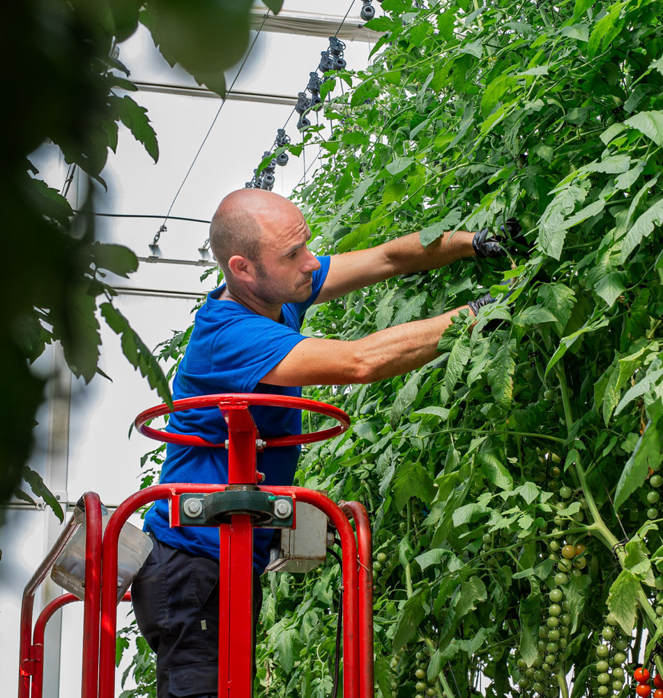 Novagric - Soluciones y servicios especializados en riego, invernaderos y tecnología agrícola
