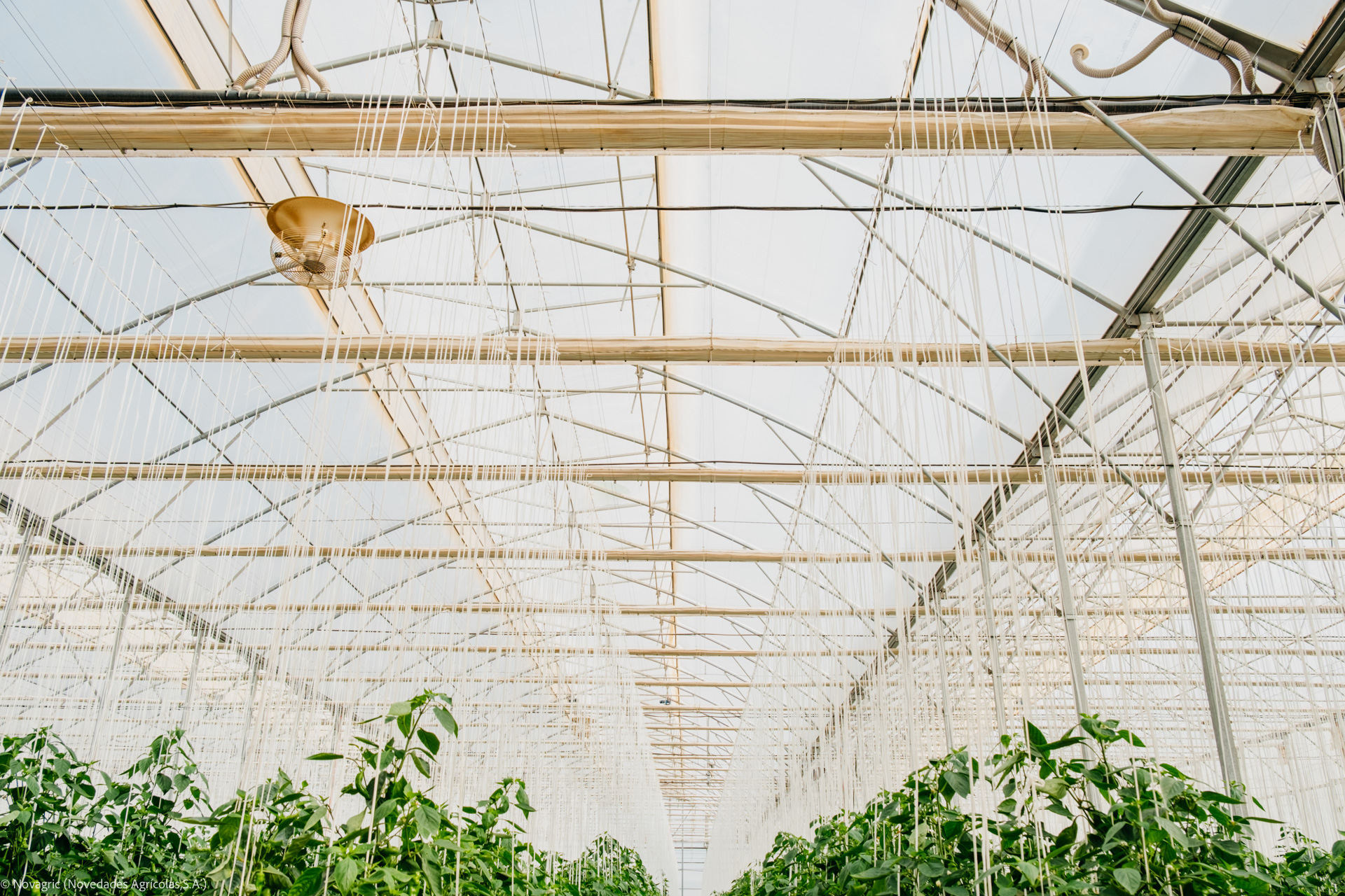 Tecnologías de Clima