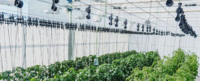 Novagric - Soluciones y servicios especializados en riego, invernaderos y tecnología agrícola