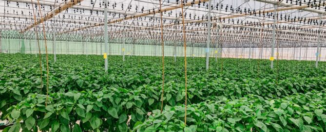 Novagric - Soluciones y servicios especializados en riego, invernaderos y tecnología agrícola