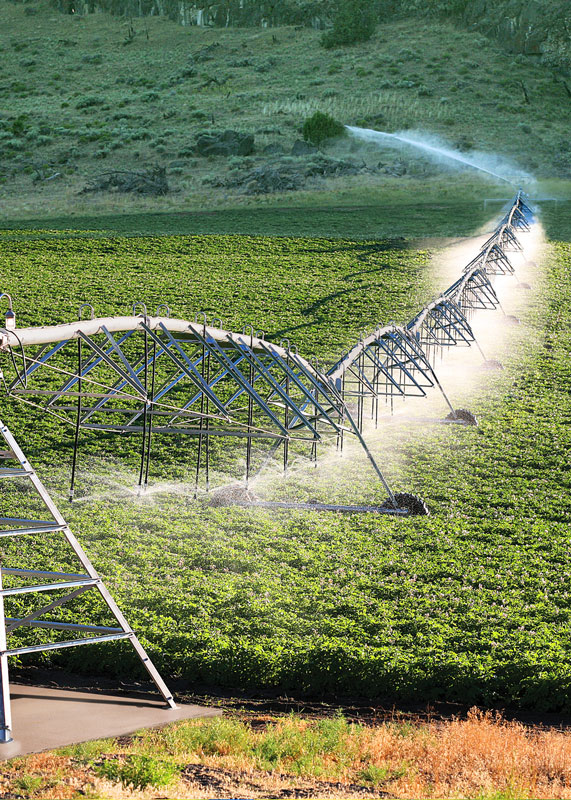 Novagric - Soluciones y servicios especializados en riego, invernaderos y tecnología agrícola