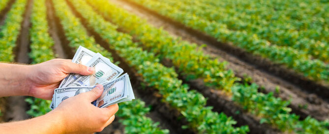 Novagric - Soluciones y servicios especializados en riego, invernaderos y tecnología agrícola