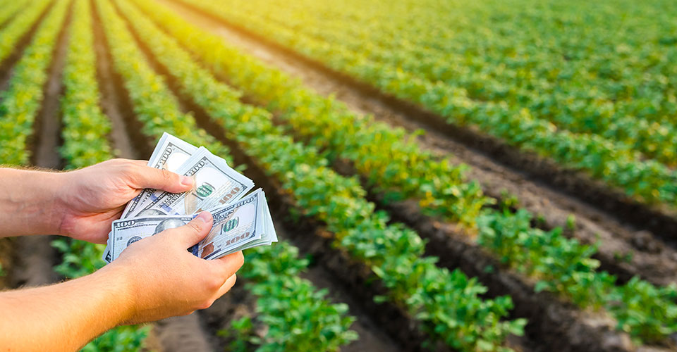 Novagric - Soluciones y servicios especializados en riego, invernaderos y tecnología agrícola