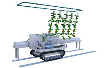proyecto-agronauta Novagric - Soluciones y servicios especializados en riego, invernaderos y tecnología agrícola