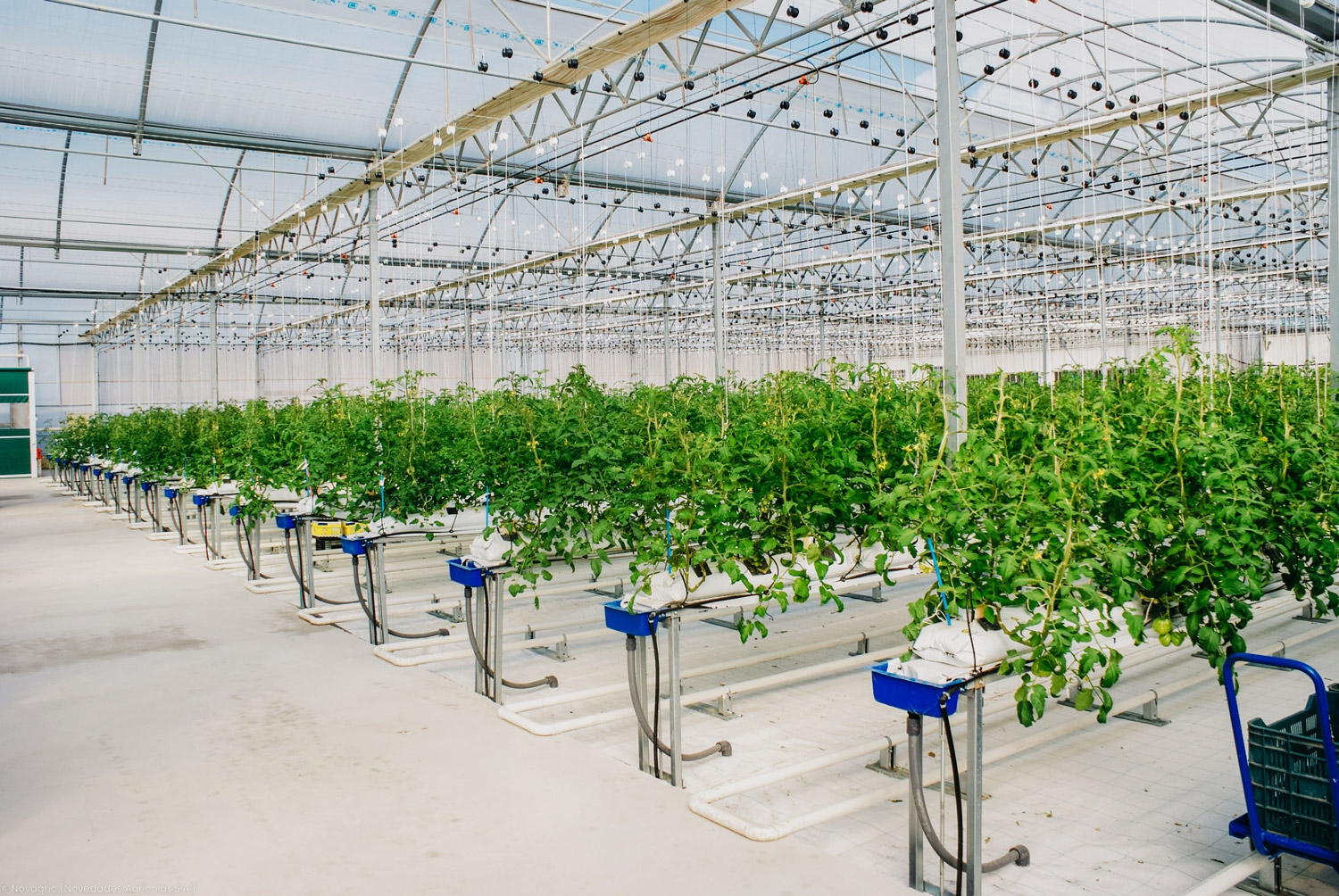 Novagric - Soluciones y servicios especializados en riego, invernaderos y tecnología agrícola