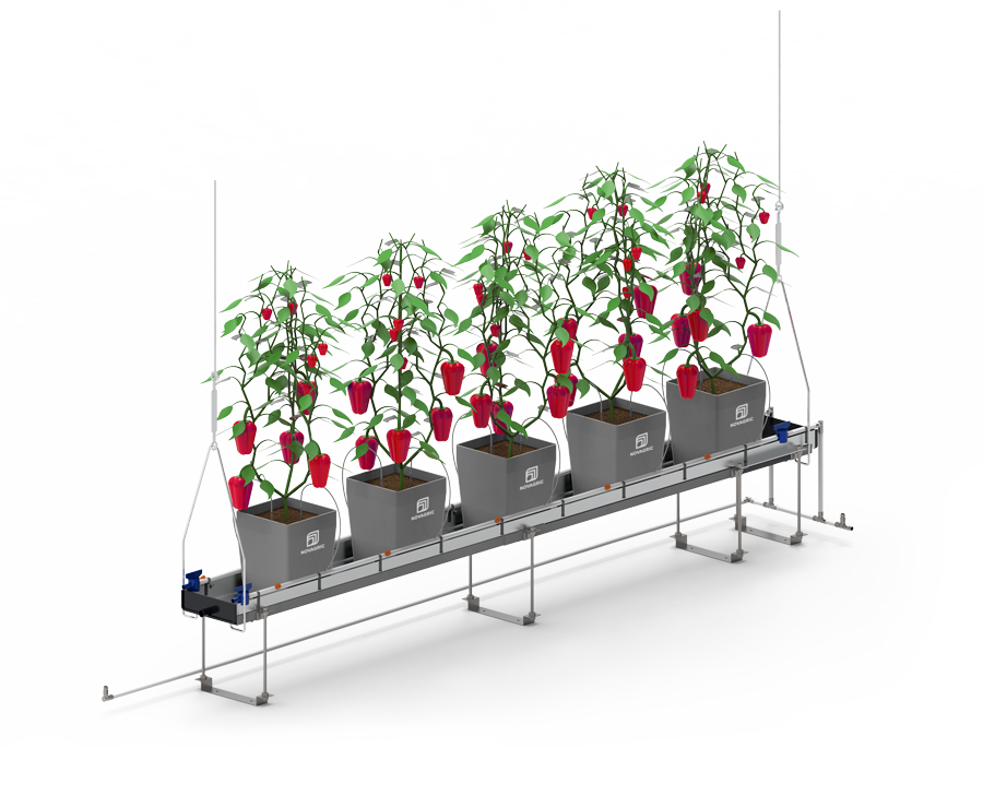 recirculados-3ds Novagric - Soluciones y servicios especializados en riego, invernaderos y tecnología agrícola