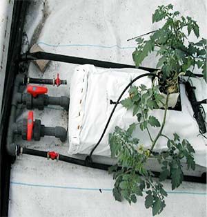 reddistribucion Novagric - Soluciones y servicios especializados en riego, invernaderos y tecnología agrícola