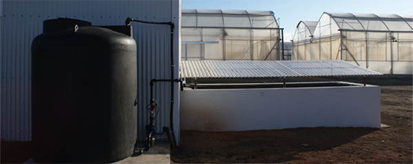 Novagric - Soluciones y servicios especializados en riego, invernaderos y tecnología agrícola