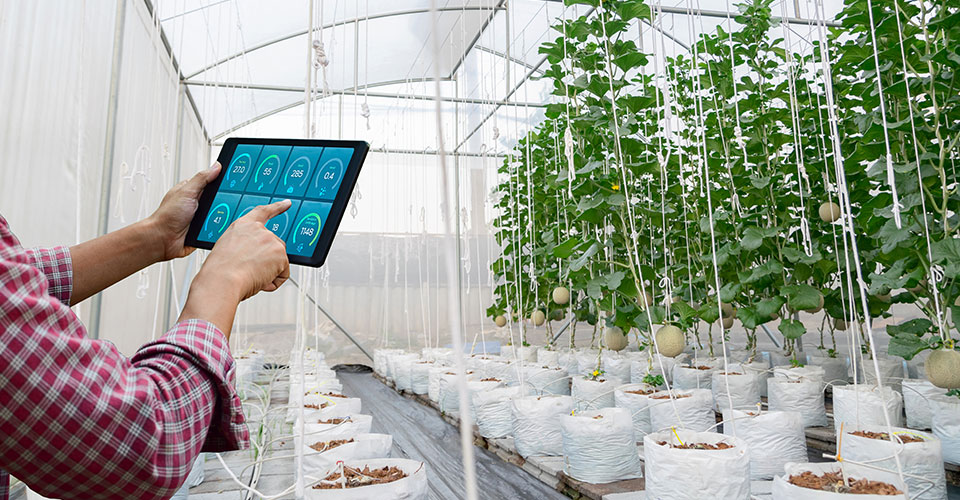 Novagric - Soluciones y servicios especializados en riego, invernaderos y tecnología agrícola