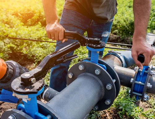 Las 4 Fases de la Fertirrigación