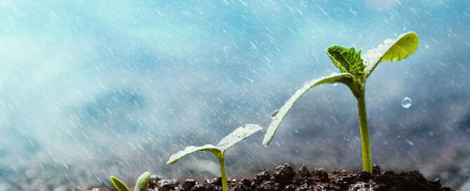 Novagric - Soluciones y servicios especializados en riego, invernaderos y tecnología agrícola