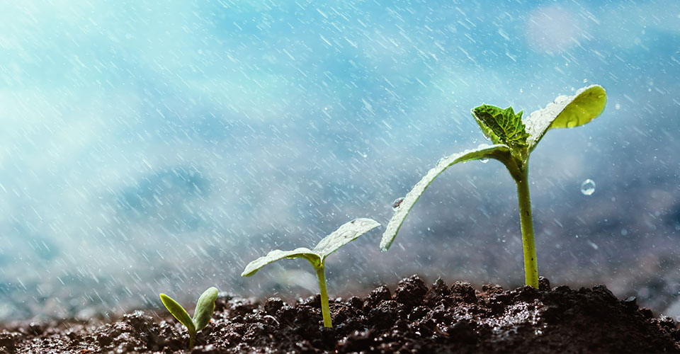 Novagric - Soluciones y servicios especializados en riego, invernaderos y tecnología agrícola