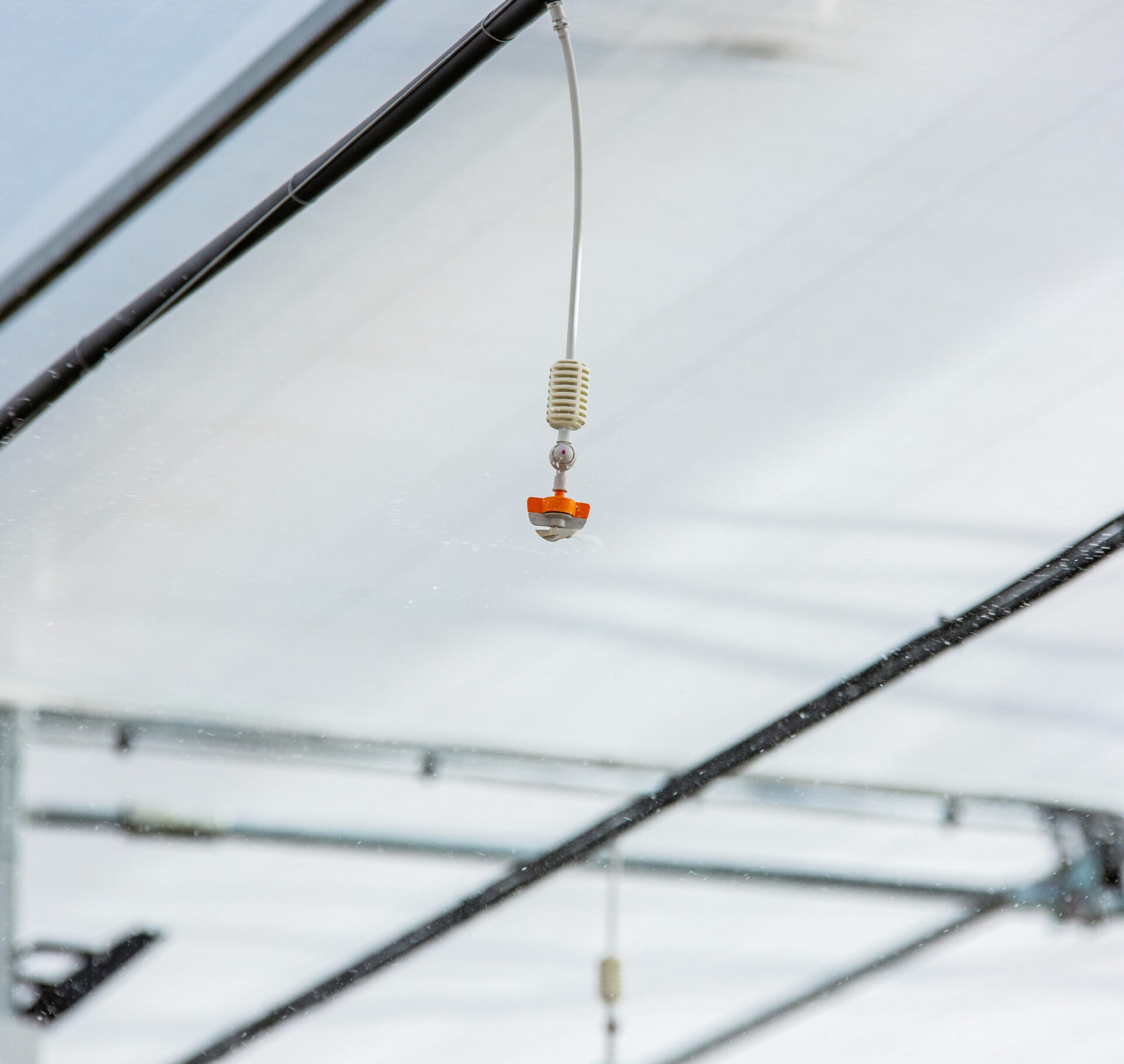 Novagric - Soluciones y servicios especializados en riego, invernaderos y tecnología agrícola