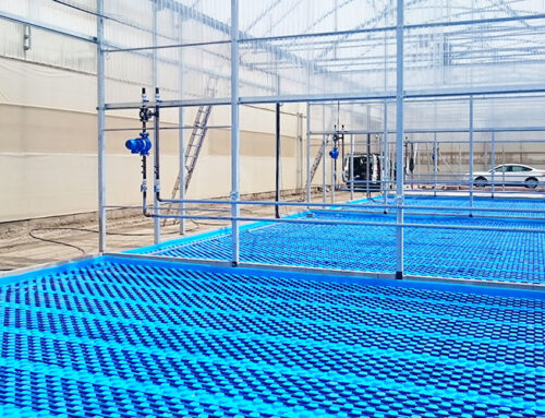 Suelo Radiante. La Calefacción Invisible para Invernaderos