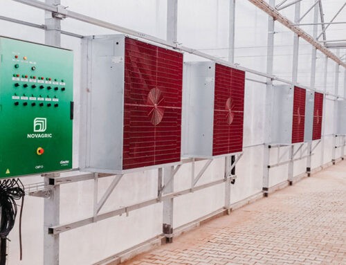 Cómo mejorar la Ventilación en Invernaderos