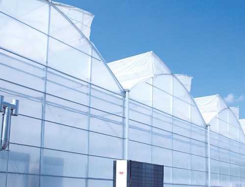 Problemas más frecuentes de Ventilación en Invernaderos