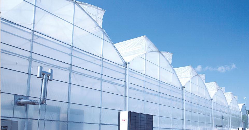 Novagric - Soluciones y servicios especializados en riego, invernaderos y tecnología agrícola